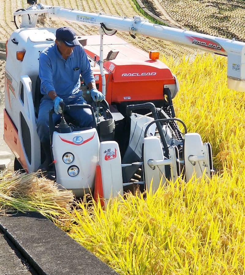 お米を収穫する男性とトラクター